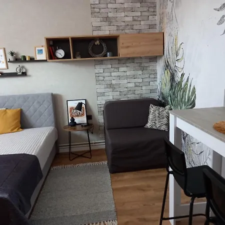 Zlata Apartment